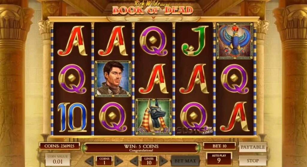 What Is Book of Dead Slot